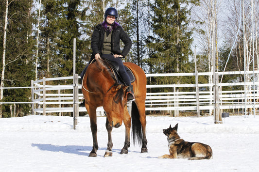 Identifying and Locating Pain in the Horse, Belgium 22.-23.11.2025